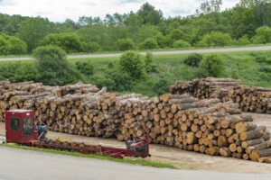 how are wood pellets made, white oak log stacked